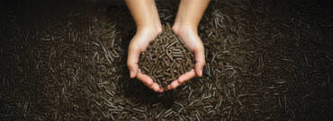 EFB Pellets – Wengyat