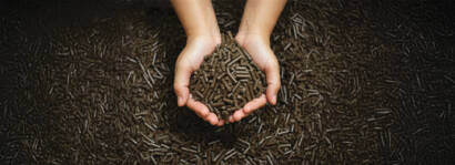 EFB Pellets – Wengyat